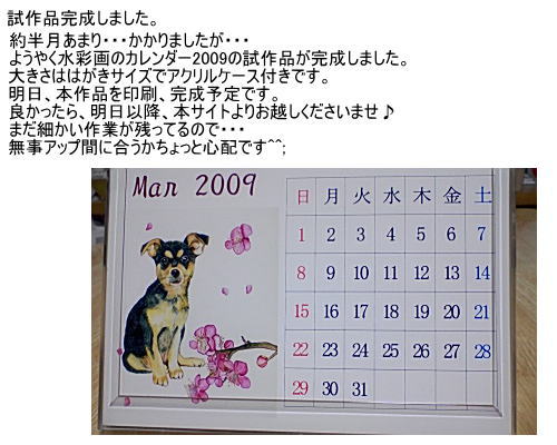 calendar2009 image.jpg