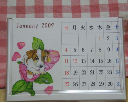 calendar2009jan.jpg